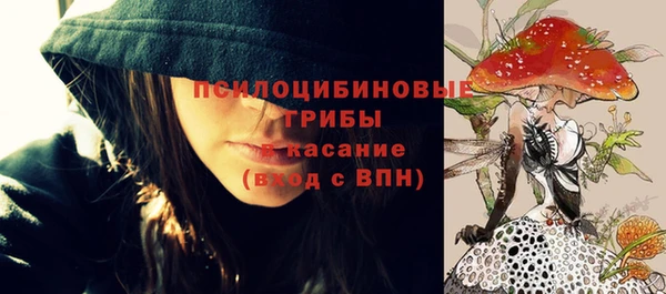 твердый Киренск