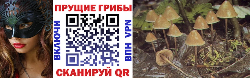 Псилоцибиновые грибы GOLDEN TEACHER  продажа наркотиков  Ликино-Дулёво 